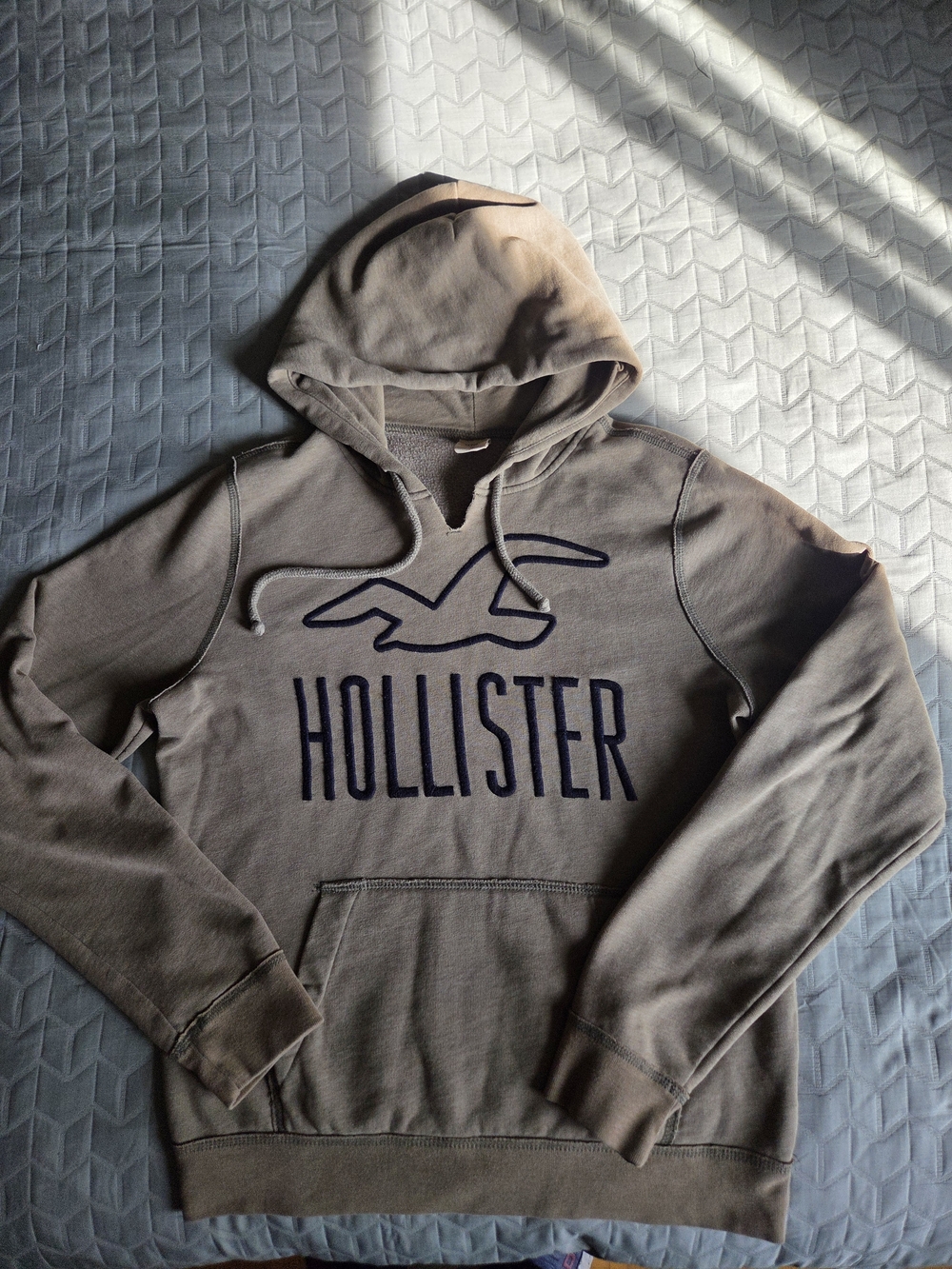 Hollister Hoodie Logo Pullover Beige/Taupe Y2K Style Size M Olive